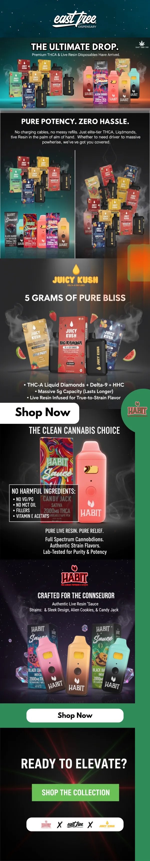 Disposables category promotion email