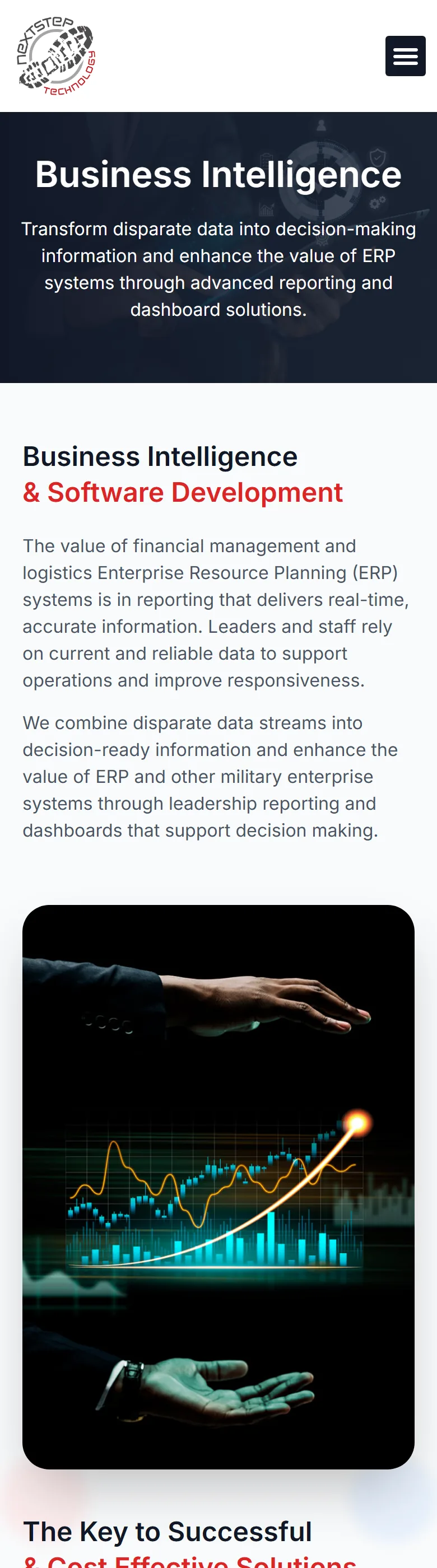 Business intelligence capability page